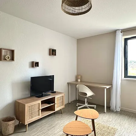 Appartamento Le Cocon Griffon - Parking, Fibre, Proche Tolosa
