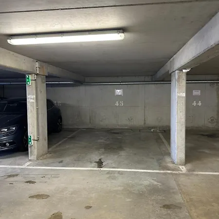 Appartement Le Cocon Griffon - Parking, Fibre, Proche Toulouse